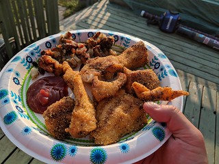 Cooking - Tasty, fresh, fish