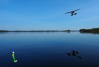 Airplane - The cabin owner buzzes by