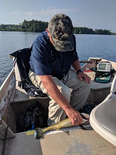 Tom pullin in the fish