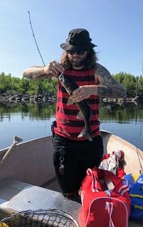 Let's get some more fish