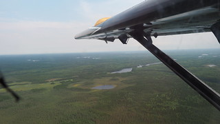 Looking out over the wilderness