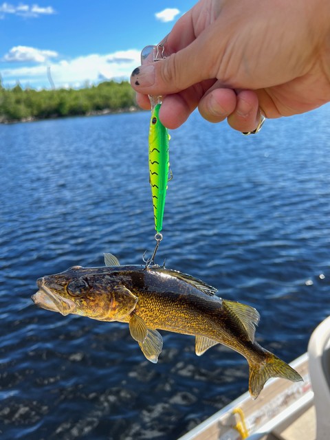 I think you call this a foul hook, heh.