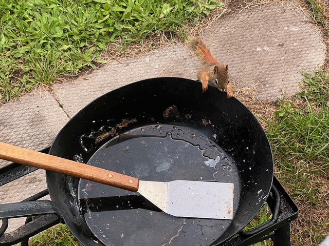 Ohp. What's in here?