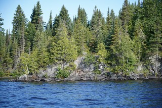 A loan camp chair frame. I believe this is where the old cabin was before it burned down in the 80s.