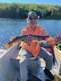 A nice little Northern