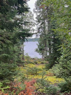 A clearing near the cabin