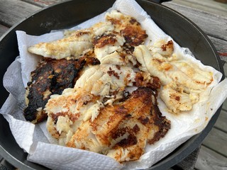 First batch of the freshest walleye