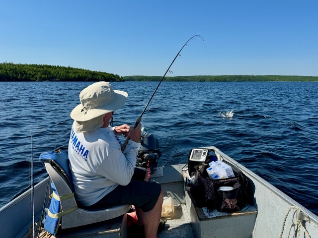 Dave lands a walleye