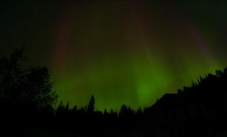 frame - Greens and reds