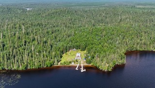 A cabin in the middle of the wilderness