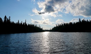 Northwoods silhouette