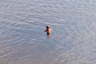 Bill cools off in the lake