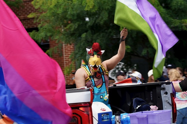 Bowser Pride