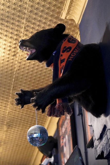Bear stuff