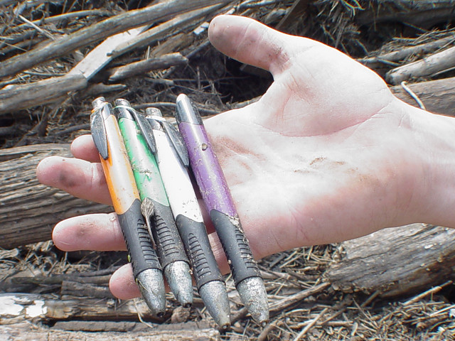 There were pens all over this island. I dubbed it Penisland