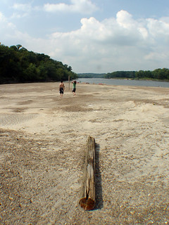 Kayaking - Log Beach