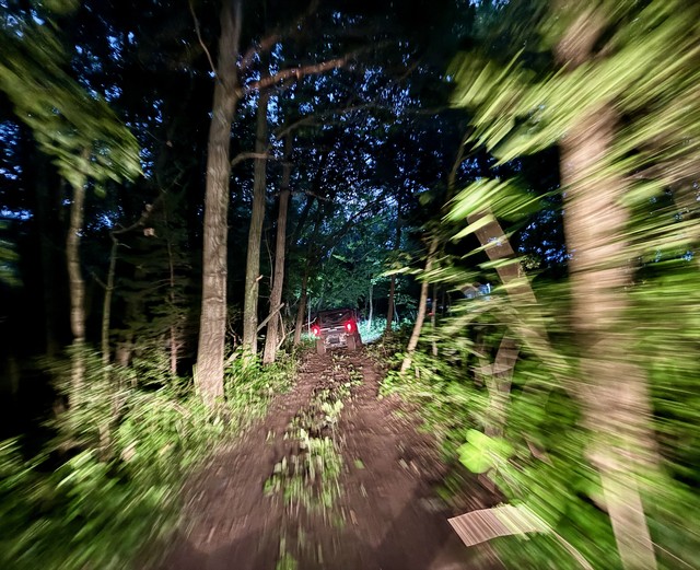 Bombin through the forest