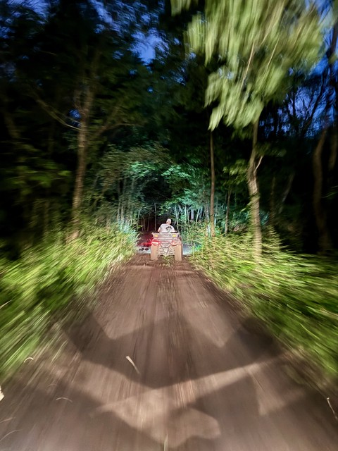 Following Evan around