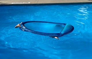 Ian Hernandez - Ian doing Ian stuff