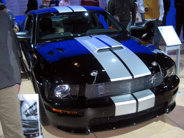 Shelby for my Ford Peeps