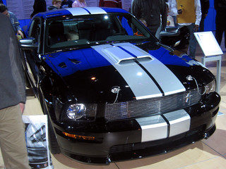 Shelby for my Ford Peeps