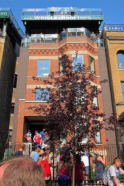 The rooftop we hung out on