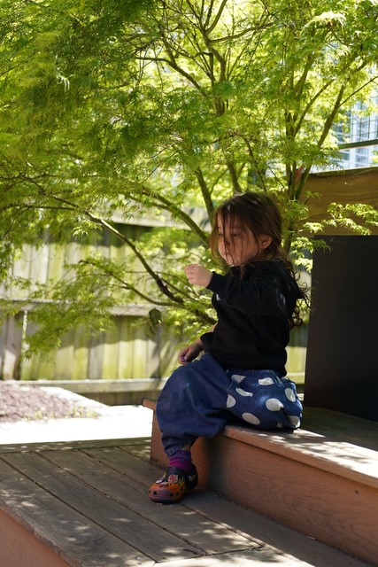 Just hangin under Jordan and Marlene's Japanese maple