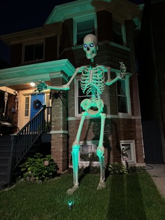 Look at this skeleton