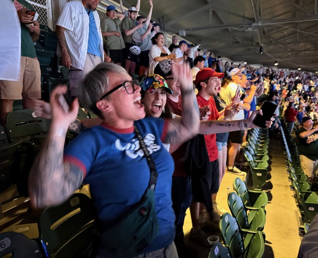 Go Cubs Go