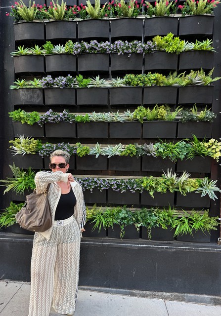 Kari is disappointed that these plants are fake