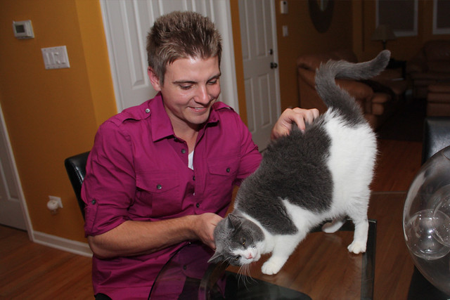 Lance was the only one that this stupid cat liked