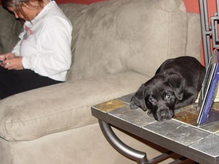 Slate tables are more comfortable than couches