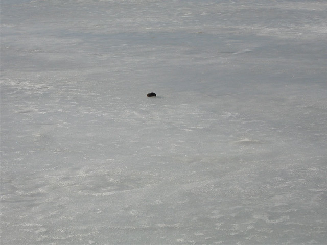 He didn't quite make it off the ice