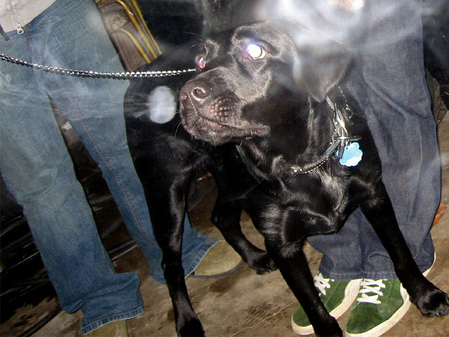 Ninja was amazed by the smoke rings