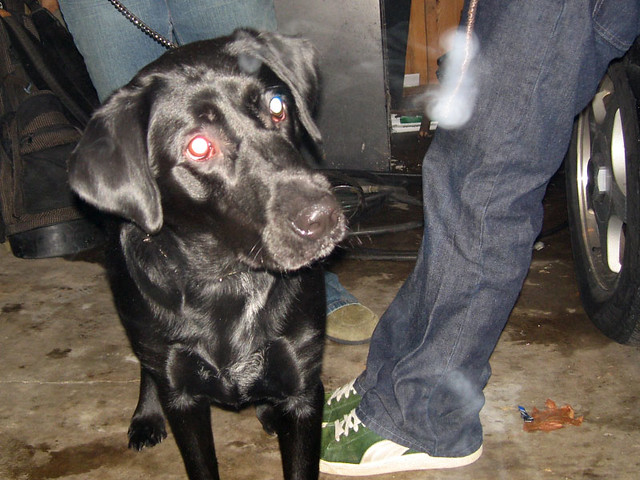 Still trying to figure out smoke rings