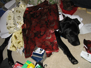 Port Byron - Passed out