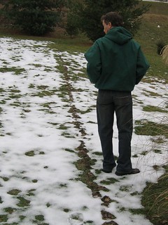 Mole - The mole trail