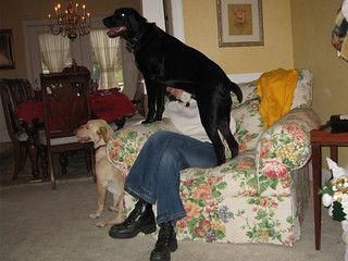 Port Byron - Climbing on Vicki