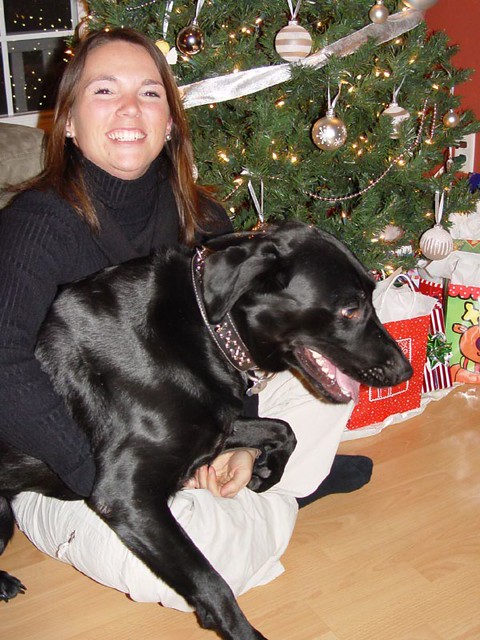 Christmas Card Attempt Two