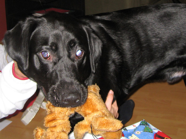 Ninja Got a Cowboy from Cowboy