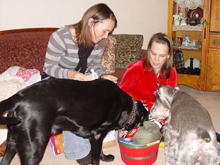 Teresa Reynolds - Dog Presents