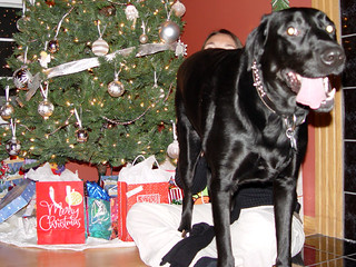 Christmas - I give up