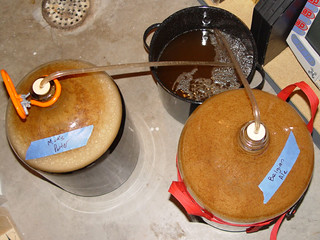 Homebrew - Insane Bubbling