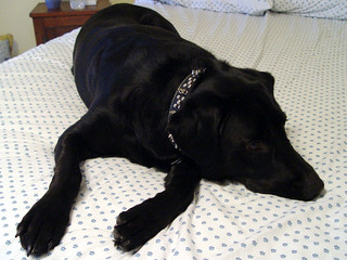 606 - There's a similar photo from 2 Christmases ago