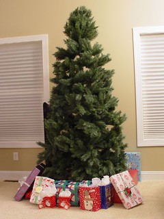 Mom's tree when we showed up