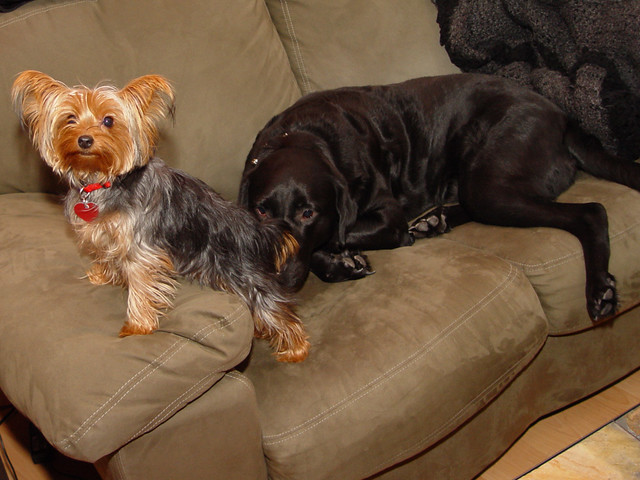 Getting to know each other a bit better