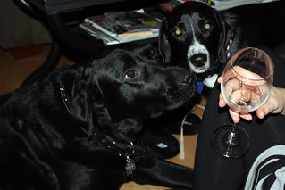 Ninja - Ninja and Harlow