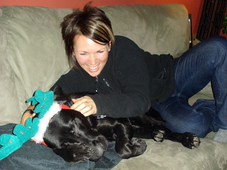 Ninja - Embarrassed Dog