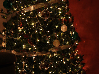 I wonder how many first "new camera pics" are of christmas trees