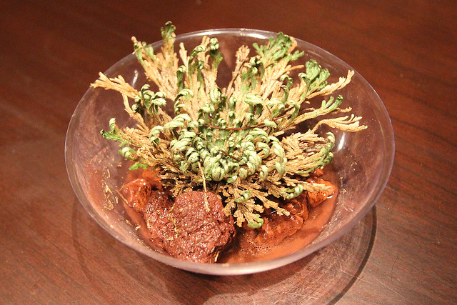 Dinosaur plant after a few hours